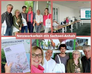 ###Netzwerkarbeit Sachsen Anhalt